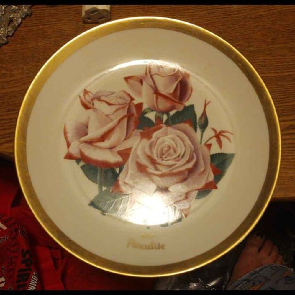 AMERICAN ROSE SOCIETY PORCELAIN COLLECTOR PLATE - PARADISE ROSE 1979